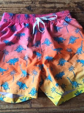 chubbies Mens Pink to Yellow Gradient Dino Swim Shorts Small